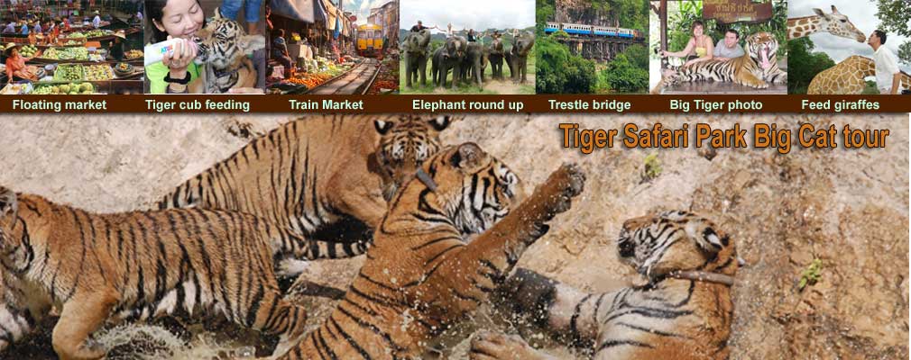 KET: 1 Day Tour Tigers Safari Park open zoo Elephants Training Bath swim trek and Bridge on the River Kwai