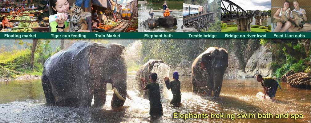 Elephats Tigers and Bridge on the river Kwai